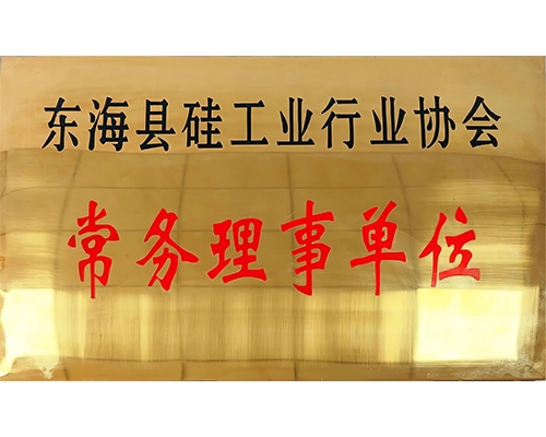 東?？h硅工業(yè)行業(yè)協(xié)會(huì)常務(wù)理事單位